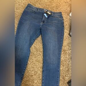 Lee Women's Classic Blue Skinny Jeans